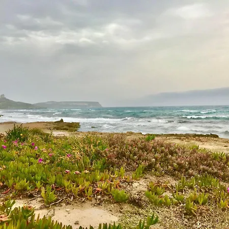 West Sardinia 2 Càbras